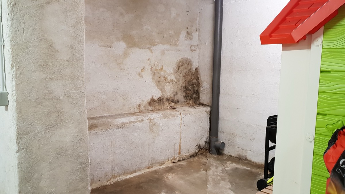 Infiltrations d'eau - Expertise humidité à Montauban